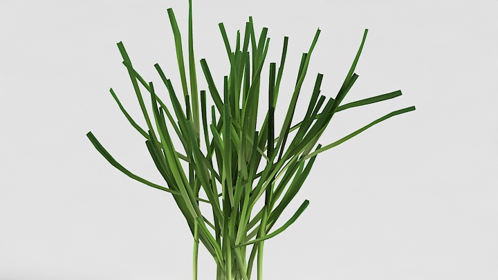 渲染模型_植物草088