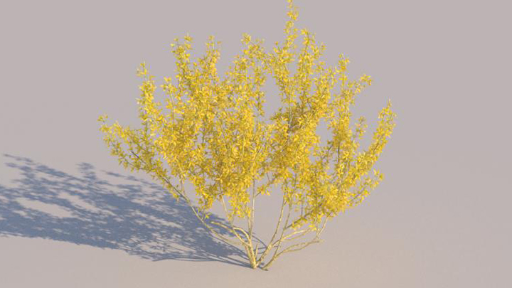 渲染模型_灌木147