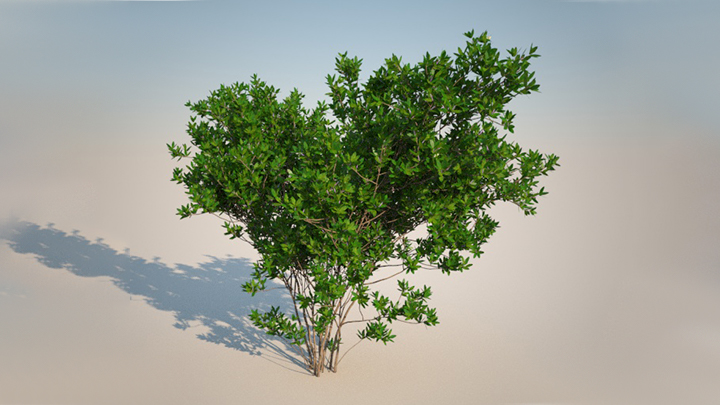 渲染模型_灌木150