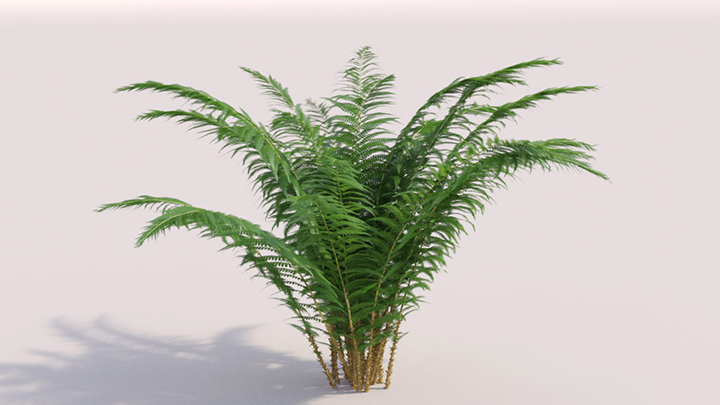 渲染模型_灌木191