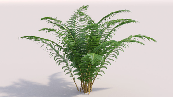 渲染模型_灌木194