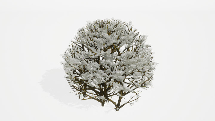 渲染模型_灌木201