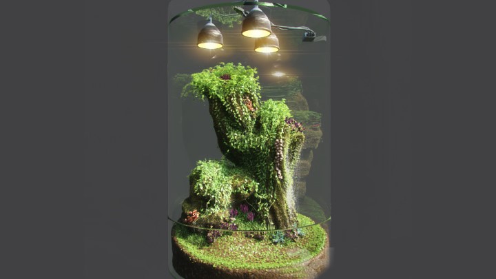 渲染模型_盆景164