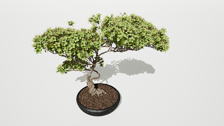 渲染模型_盆景172