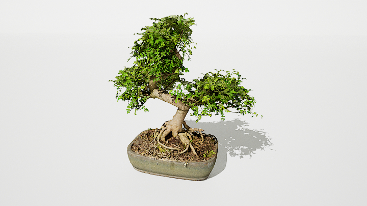 渲染模型_盆景176