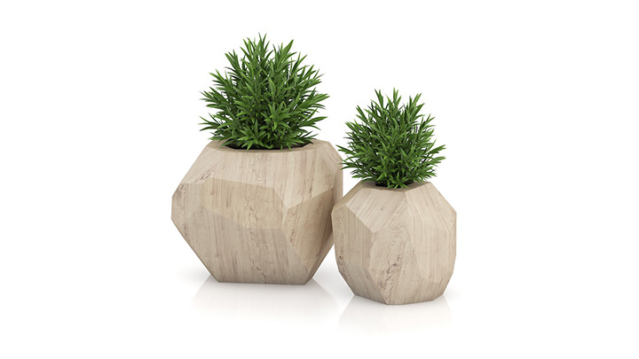 渲染模型_盆栽645