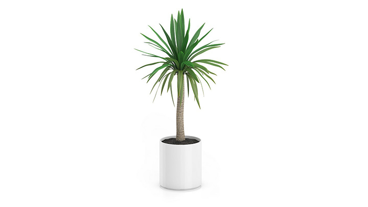 渲染模型_盆栽655