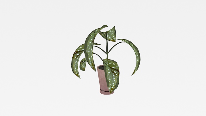 渲染模型_盆栽657