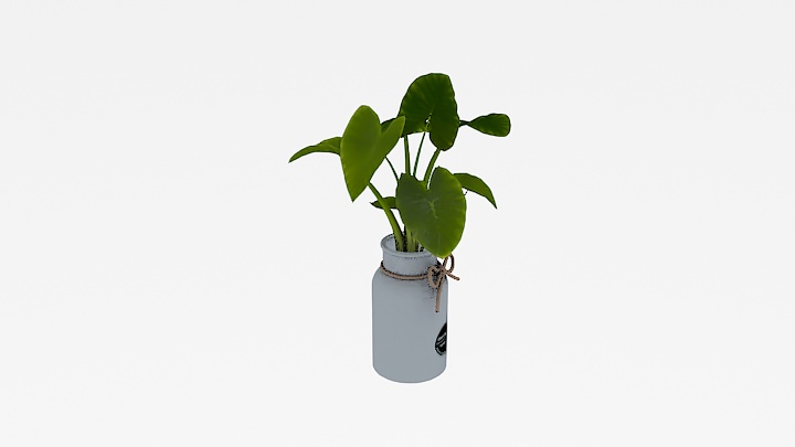 渲染模型_盆栽663