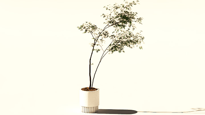 渲染模型_盆栽688