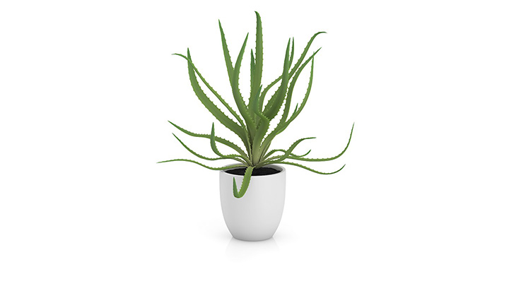 渲染模型_盆栽702