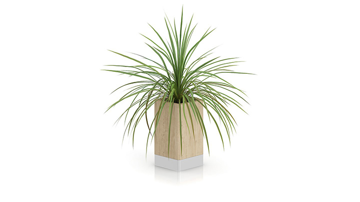 渲染模型_盆栽704