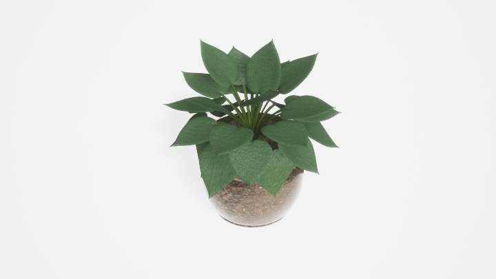 渲染模型_盆栽708