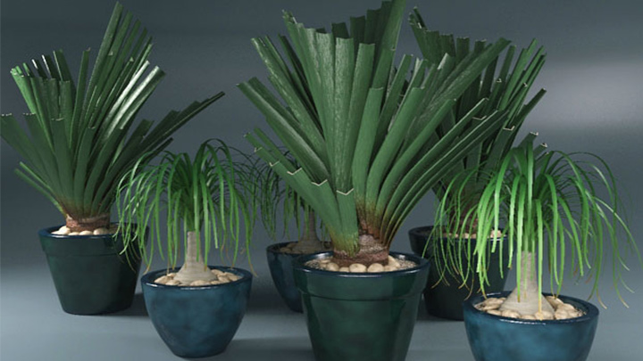 渲染模型_盆栽712