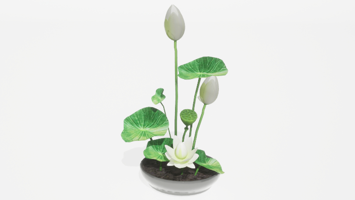 渲染模型_盆栽717