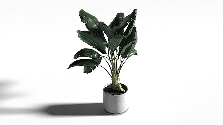 渲染模型_盆栽741