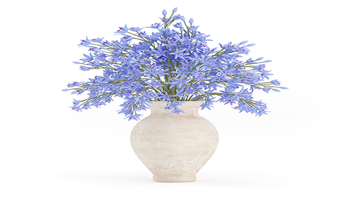 渲染模型_盆栽759