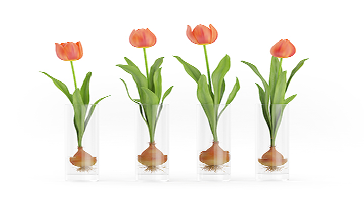 渲染模型_盆栽768