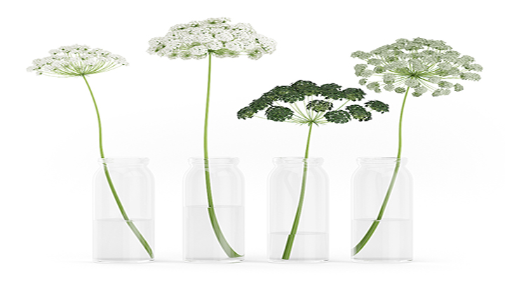 渲染模型_盆栽773