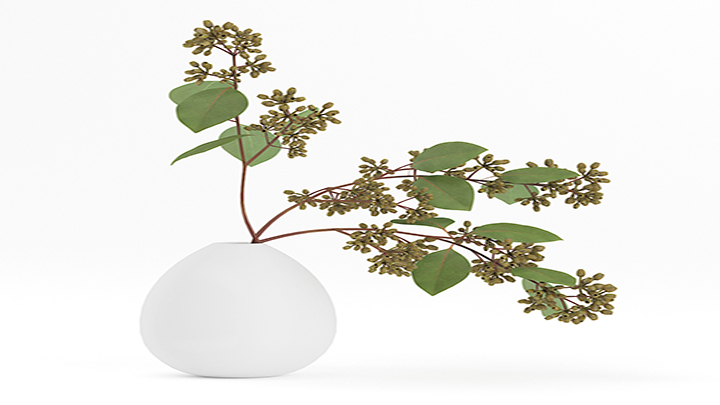 渲染模型_盆栽774