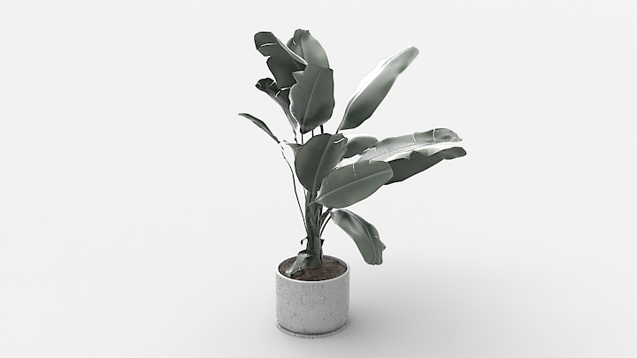 渲染模型_盆栽807