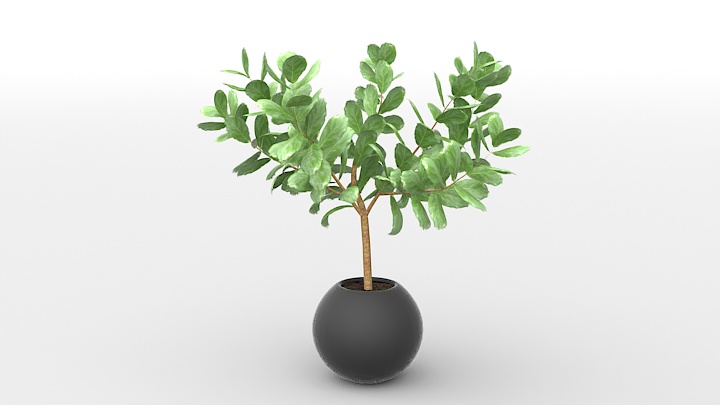 渲染模型_盆栽814