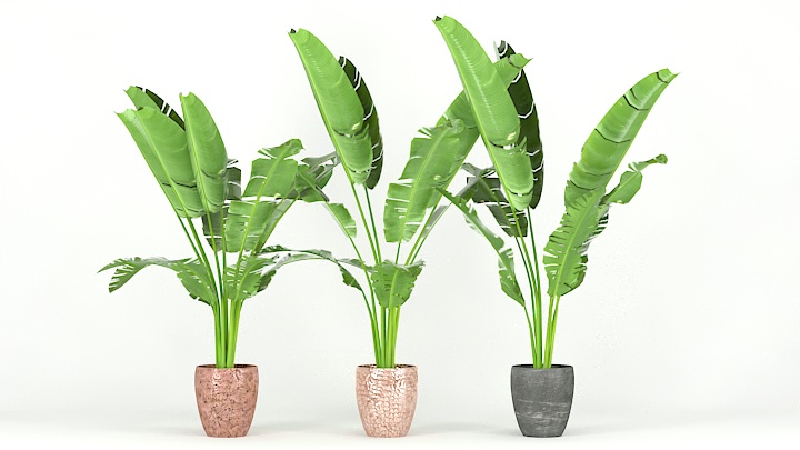 渲染模型_盆栽820