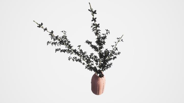 渲染模型_盆栽833