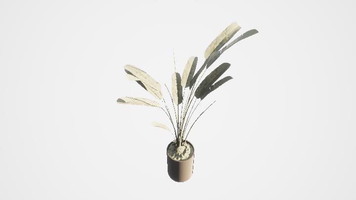 渲染模型_盆栽837