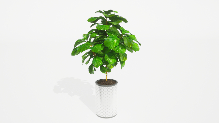 渲染模型_盆栽绿植402