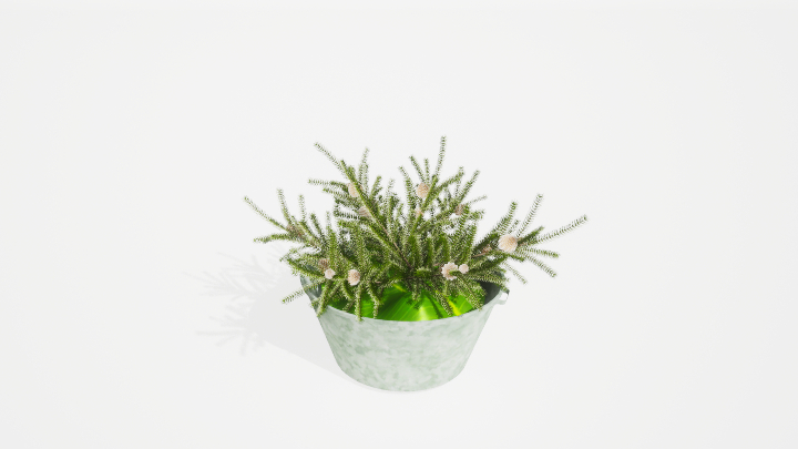 渲染模型_盆栽绿植411