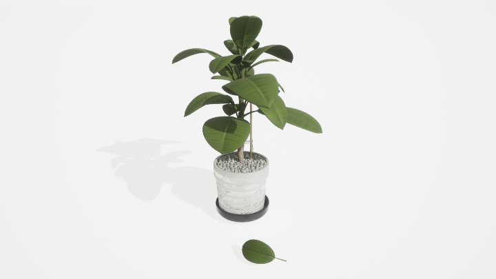 渲染模型_盆栽绿植440