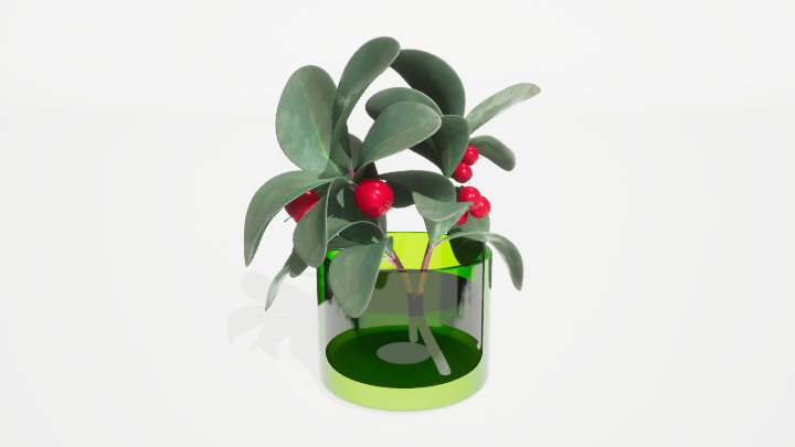 渲染模型_盆栽绿植454