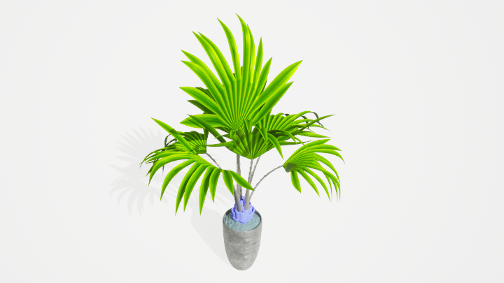渲染模型_盆栽绿植488