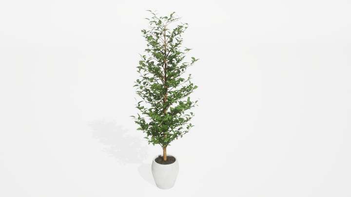 渲染模型_盆栽绿植498