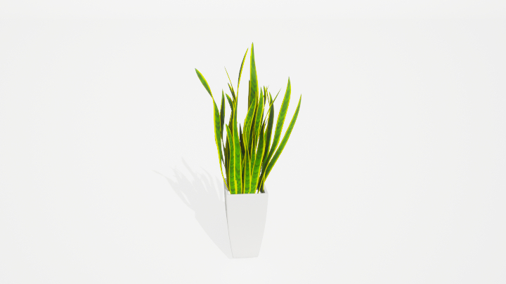 渲染模型_盆栽绿植500