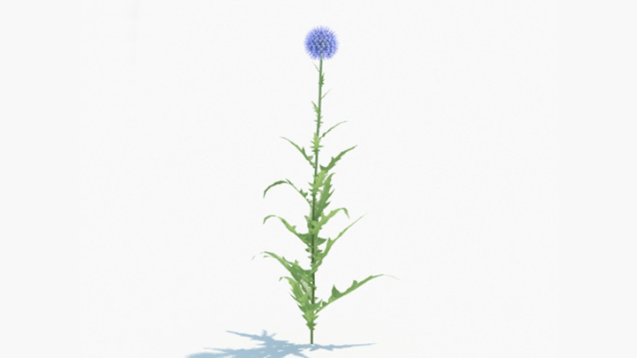 渲染模型_绿植149