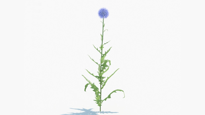 渲染模型_绿植150