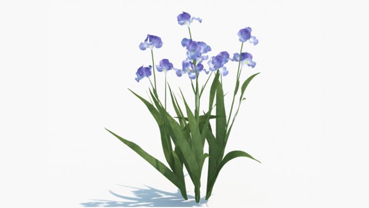 渲染模型_绿植185