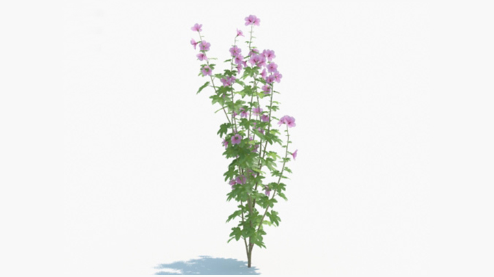 渲染模型_绿植188