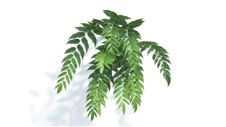 渲染模型_绿植272