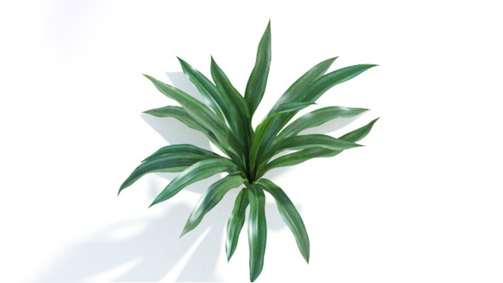 渲染模型_绿植325