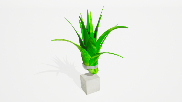 渲染模型_绿植367