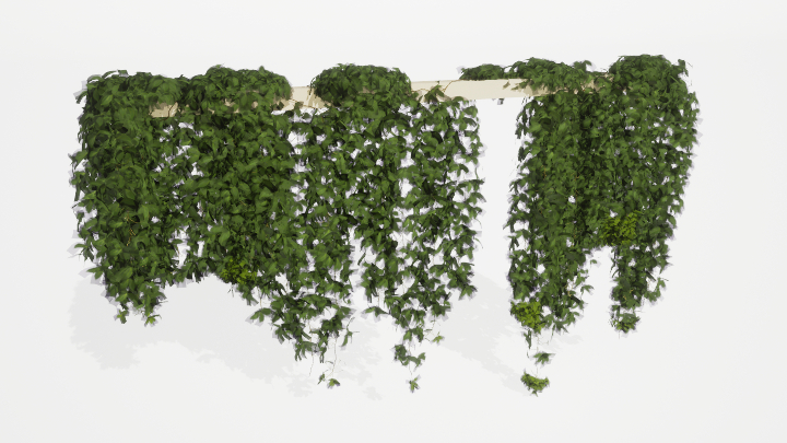 渲染模型_绿植368