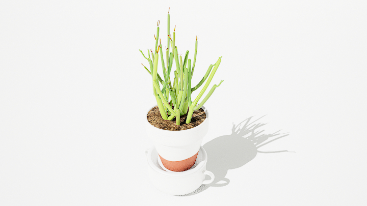 渲染模型_绿植盆栽501