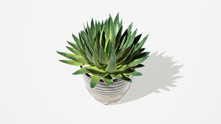 渲染模型_绿植盆栽521