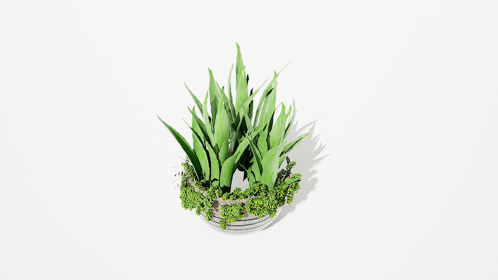 渲染模型_绿植盆栽522