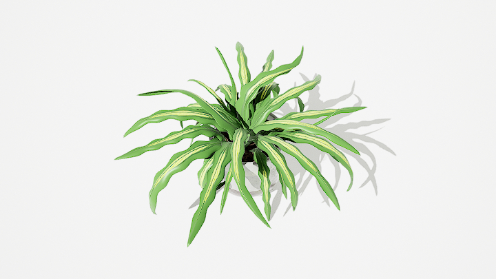 渲染模型_绿植盆栽526