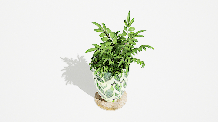 渲染模型_绿植盆栽536
