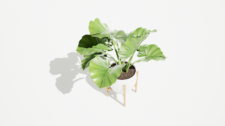 渲染模型_绿植盆栽547